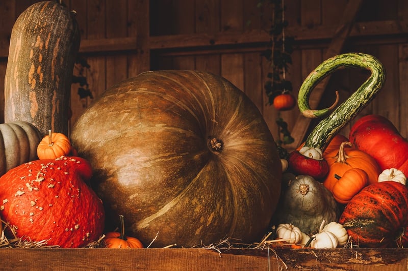 Shared Harvests